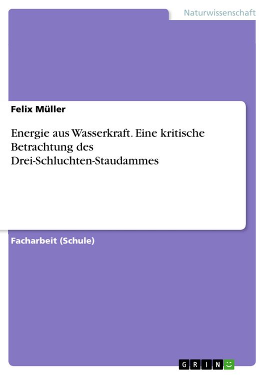 Produktbild: Energie aus Wasserkraft. Eine kritische Betrachtung des Drei-Schluchten-Staudammes