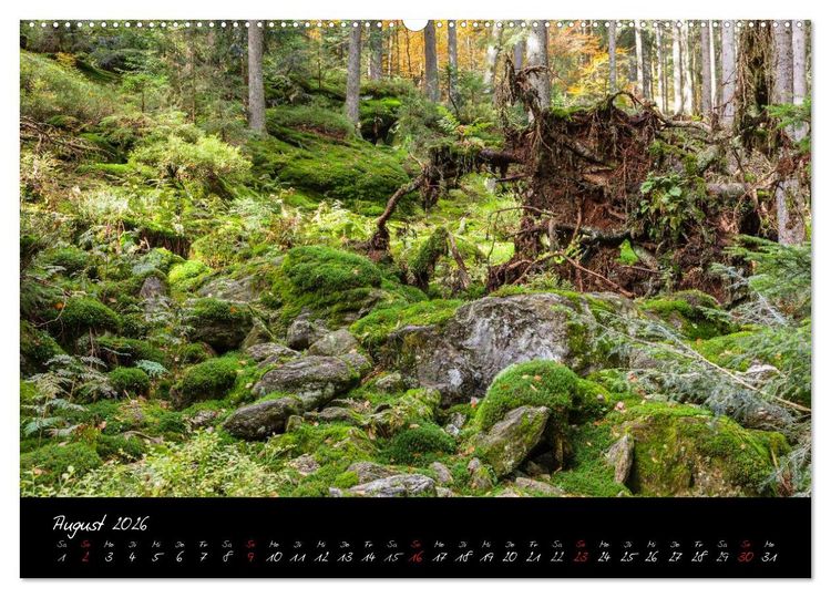 Produktbild: Bayerischer Wald (hochwertiger Premium Wandkalender 2026 DIN A2 quer), Kunstdruck in Hochglanz
