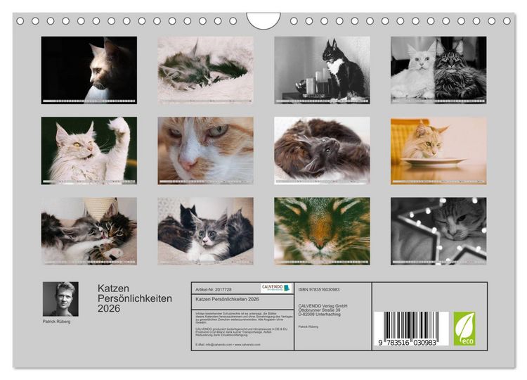 Produktbild: Katzen Pers&ouml;nlichkeiten 2026 (Wandkalender 2026 DIN A4 quer), CALVENDO Monatskalender