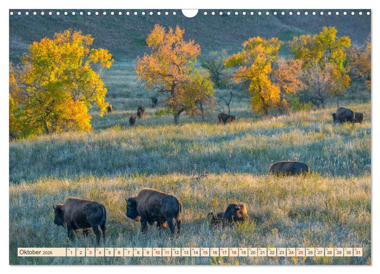 Produktbild: Sioux Im Lande von Sitting Bull (Wandkalender 2026 DIN A3 quer), CALVENDO Monatskalender