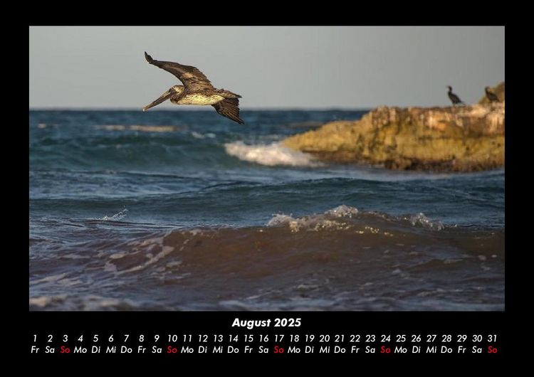 Produktbild: Meereslandschaft 2025 Fotokalender DIN A3