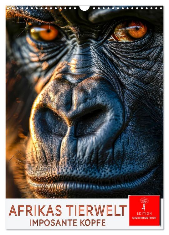 Produktbild: Afrikas Tierwelt - imposante K&ouml;pfe (Wandkalender 2026 DIN A3 hoch), CALVENDO Monatskalender