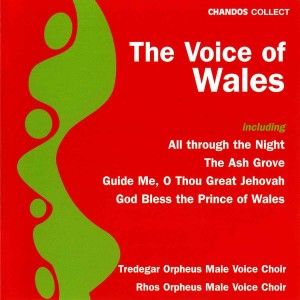 Produktbild: Voice Of Wales