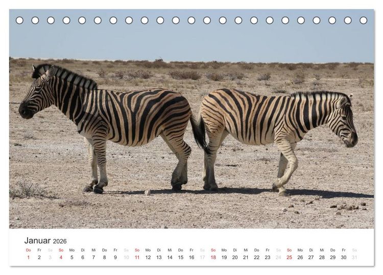 Produktbild: Namibia - Tierische Vielfalt (Tischkalender 2026 DIN A5 quer), CALVENDO Monatskalender