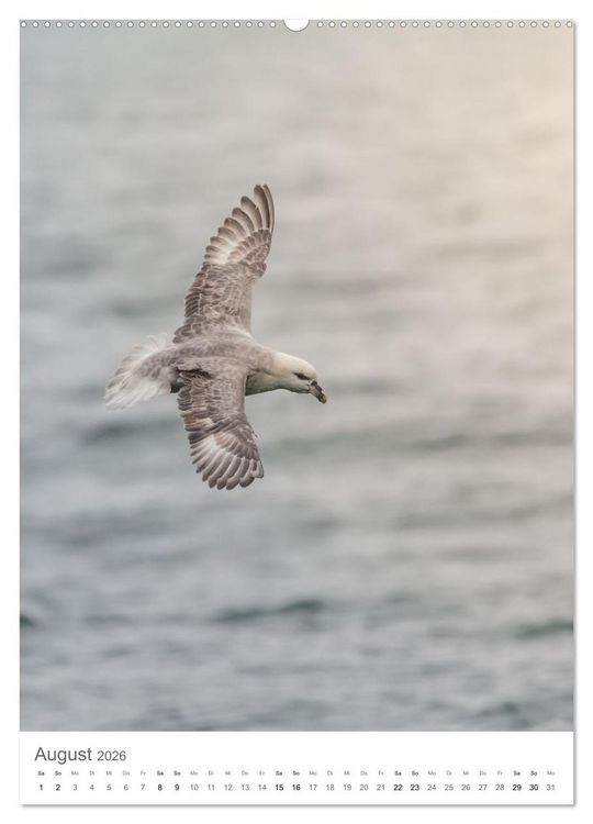Produktbild: Die Arktis - Naturfotografien aus Spitzbergen (Wandkalender 2026 DIN A2 hoch), CALVENDO Monatskalender