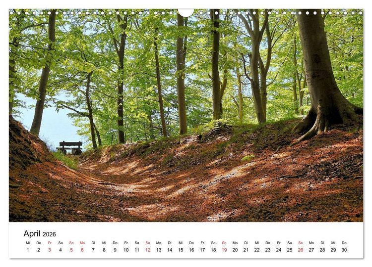 Produktbild: Insel R&uuml;gen (Wandkalender 2026 DIN A3 quer), CALVENDO Monatskalender