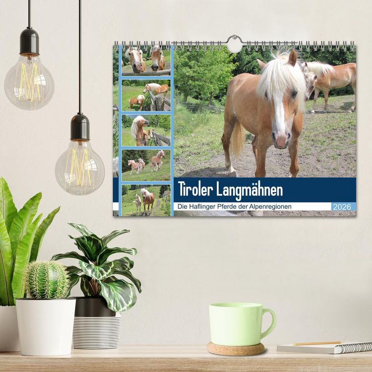 Produktbild: Tiroler Langm&auml;hnen (Wandkalender 2026 DIN A4 quer), CALVENDO Monatskalender