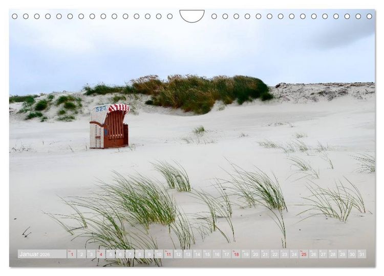 Produktbild: Amrum, die Perle in der Nordsee (Wandkalender 2026 DIN A4 quer), CALVENDO Monatskalender