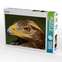 Produktbild: CALVENDO Puzzle Steinadler 1000 Teile Lege-Gr&ouml;&szlig;e 64 x 48 cm Foto-Puzzle Bild von Dirk Stamm