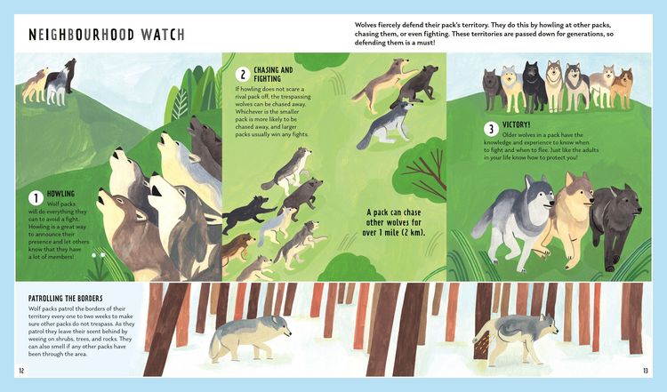 Produktbild: Grey Wolf (Young Zoologist)