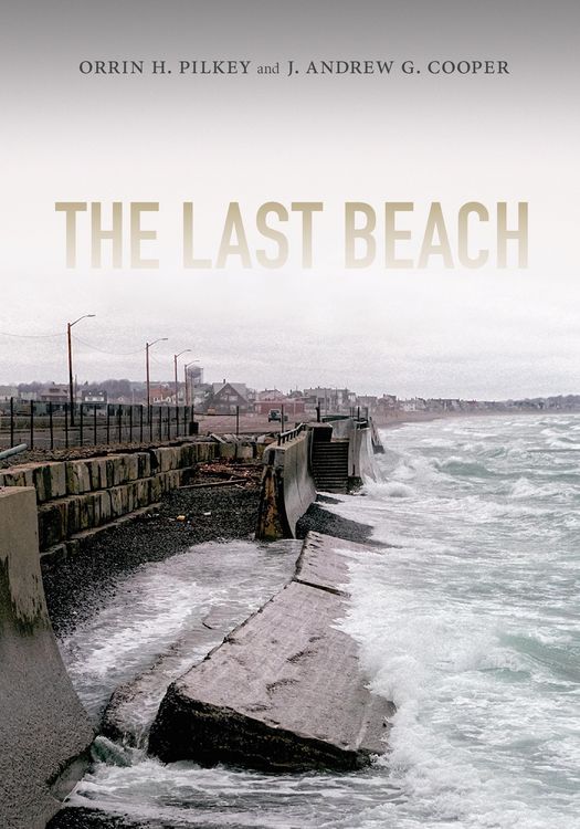 Produktbild: Last Beach