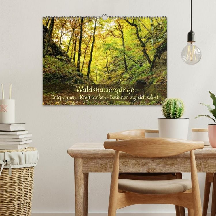 Produktbild: Waldspazierg&auml;nge: Entspannen - Kraft tanken - Besinnen auf sich selbst (Wandkalender 2027 DIN A3 quer), CALVENDO Monatskalender