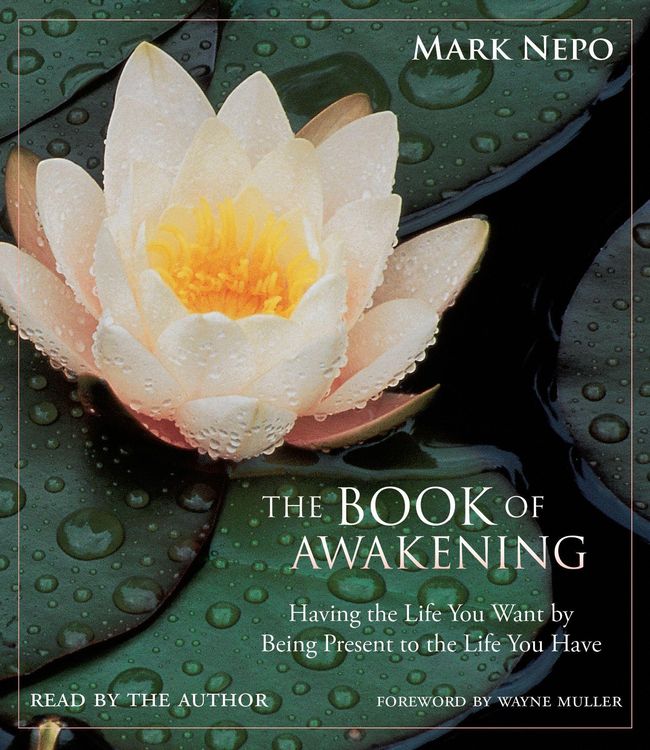 Produktbild: The Book of Awakening: Having the Life You Want by Being Present to the Life You Have