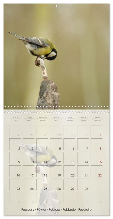 Produktbild: Le jardin des m&eacute;sanges (Calendrier mural carr&eacute; 2026 30x30 cm) Calendrier double avec une page pour vos prises de notes