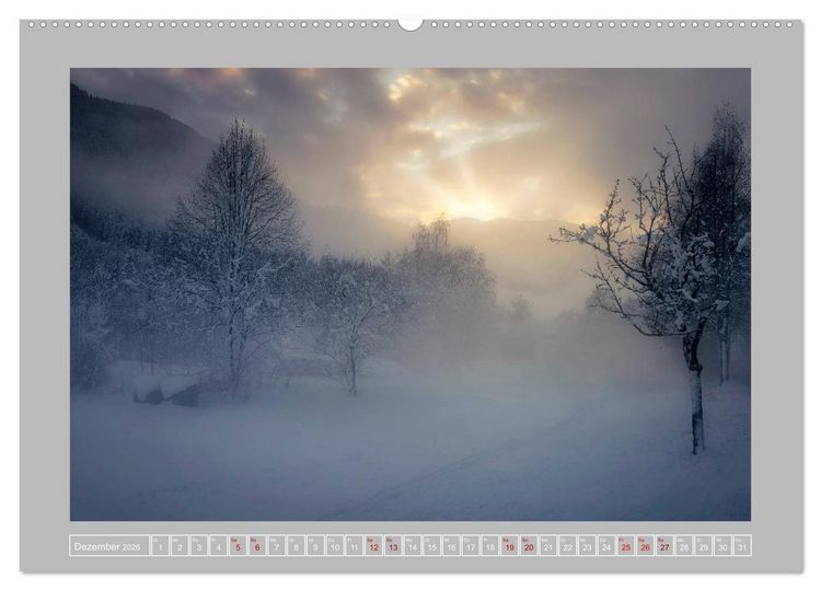 Produktbild: Wald im Licht (Wandkalender 2026 DIN A2 quer), CALVENDO Monatskalender