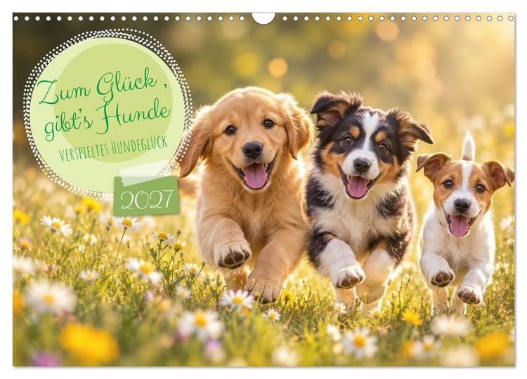 Produktbild: Zum Gl&uuml;ck gibt&rsquo;s Hunde (Wandkalender 2027 DIN A3 quer), CALVENDO Monatskalender