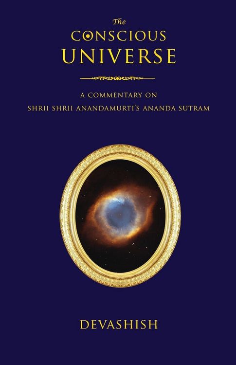 Produktbild: The Conscious Universe