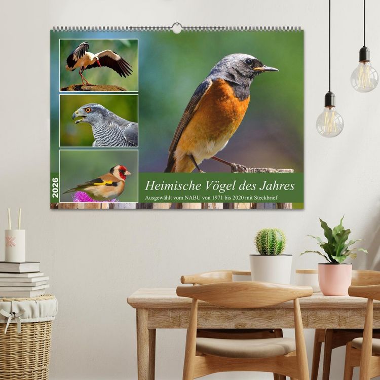 Produktbild: Heimische V&ouml;gel des Jahres (Wandkalender 2026 DIN A2 quer), CALVENDO Monatskalender