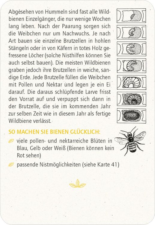 Produktbild: Blatt & Bl&uuml;te Insektengl&uuml;ck