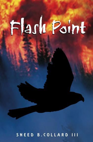 Produktbild: Flash Point