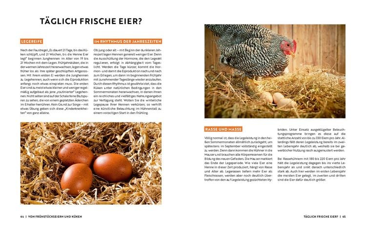 Produktbild: Gartenmomente: H&uuml;hner