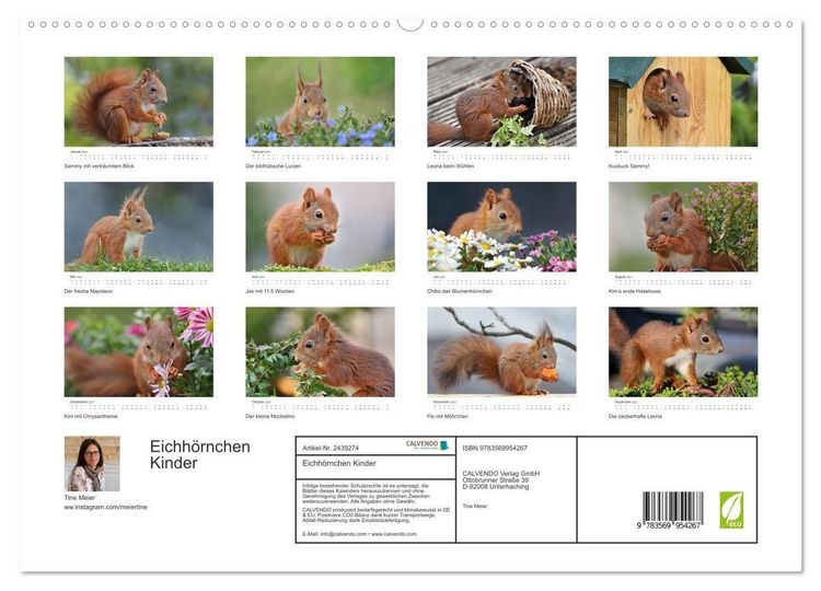 Produktbild: Eichh&ouml;rnchen Kinder (hochwertiger Premium Wandkalender 2027 DIN A2 quer), Kunstdruck in Hochglanz
