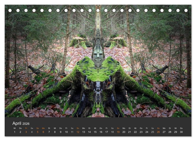 Produktbild: Spiegelwelten - Im Reich der Naturwesen (Tischkalender 2026 DIN A5 quer), CALVENDO Monatskalender
