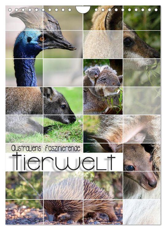 Produktbild: Australiens faszinierende Tierwelt (Wandkalender 2026 DIN A4 hoch), CALVENDO Monatskalender