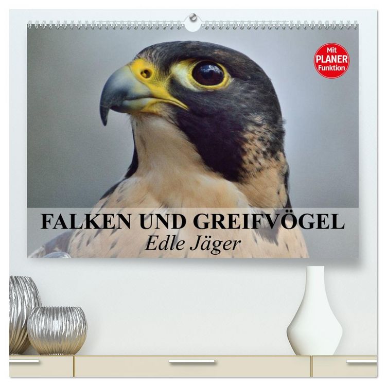Produktbild: Falken und Greifv&ouml;gel - Edle J&auml;ger (hochwertiger Premium Wandkalender 2026 DIN A2 quer), Kunstdruck in Hochglanz