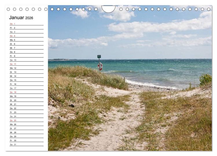 Produktbild: Insel &AElig;r&oslash; - Perle der D&auml;nischen S&uuml;dsee (Wandkalender 2026 DIN A4 quer), CALVENDO Monatskalender