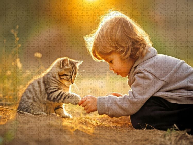 Produktbild: CALVENDO Puzzle Emotionale Freundschaft | 1000 Teile Lege-Gr&ouml;&szlig;e 64x48cm Foto-Puzzle f&uuml;r gl&uuml;ckliche Stunden