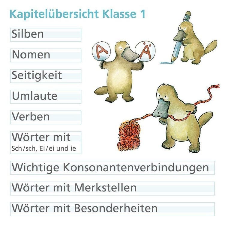 Produktbild: Rechtschreiben mit Rico Schnabel, Klasse 1 - silbierte Ausgabe