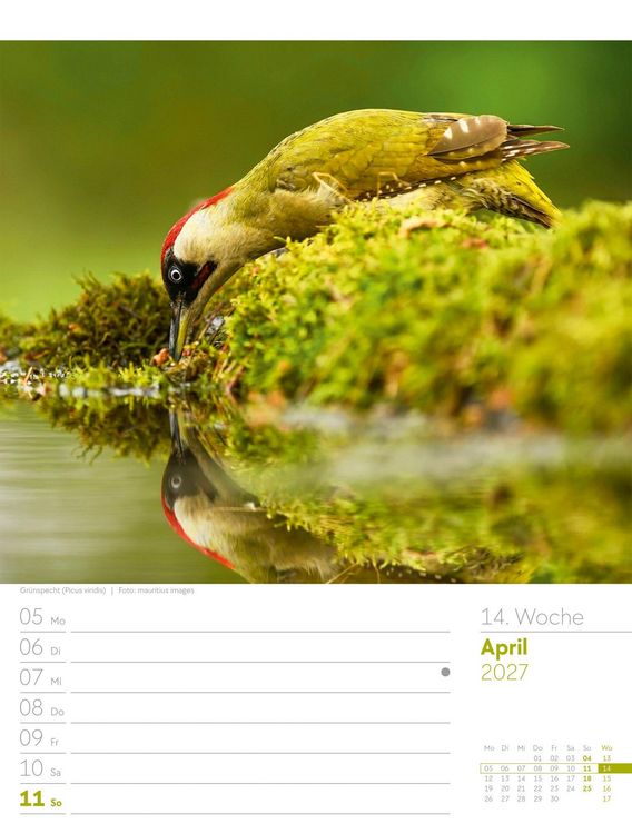 Produktbild: V&ouml;gel Wochenplaner Kalender 2027