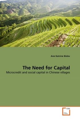 Produktbild: Bislev, A: Need for Capital