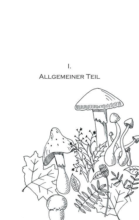 Produktbild: Pilzkochbuch von 1917