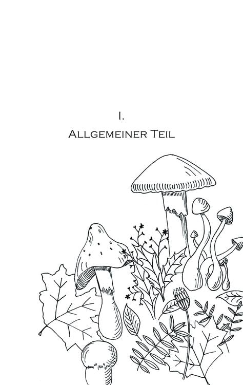Produktbild: Pilzkochbuch von 1917