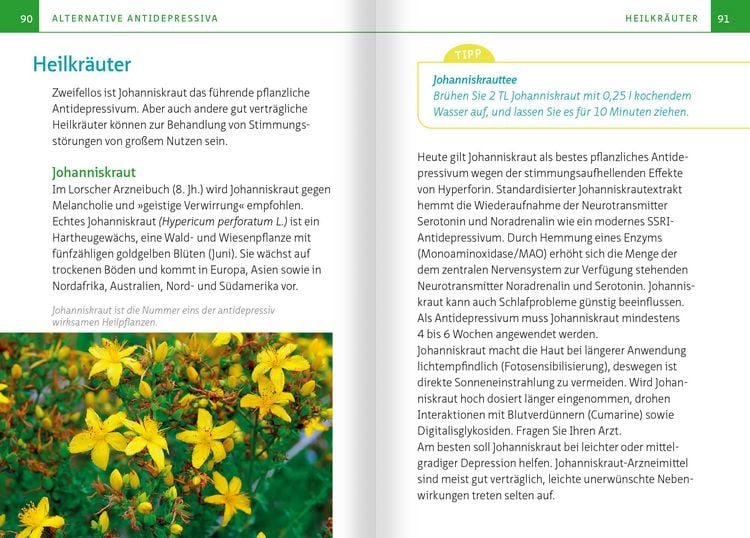 Produktbild: Nat&uuml;rliche Antidepressiva. Kompakt-Ratgeber