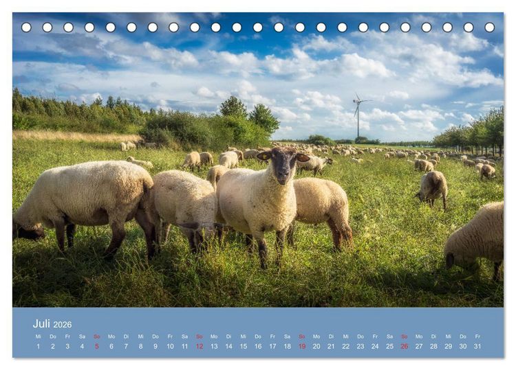 Produktbild: Kronsberg Hannover (Tischkalender 2026 DIN A5 quer), CALVENDO Monatskalender