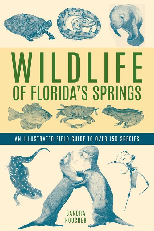 Produktbild: Wildlife of Florida's Springs
