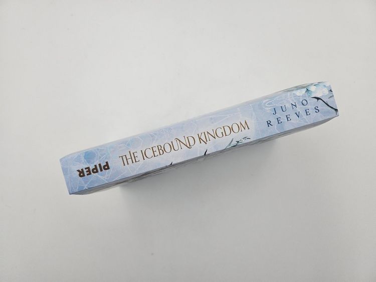 Produktbild: The Icebound Kingdom