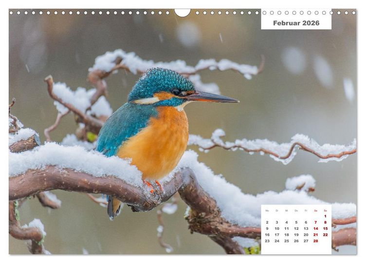 Produktbild: Zwei Tierfotografen Zw&ouml;lf Highlights (Wandkalender 2026 DIN A3 quer), CALVENDO Monatskalender