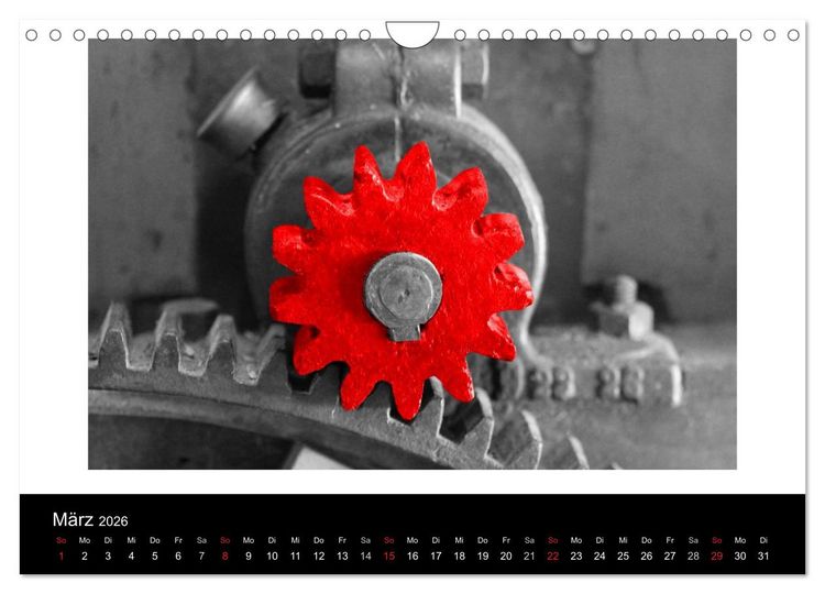Produktbild: Blickfang in Rot (Wandkalender 2026 DIN A4 quer), CALVENDO Monatskalender