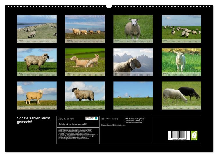 Produktbild: Schafe z&auml;hlen leicht gemacht! (hochwertiger Premium Wandkalender 2026 DIN A2 quer), Kunstdruck in Hochglanz