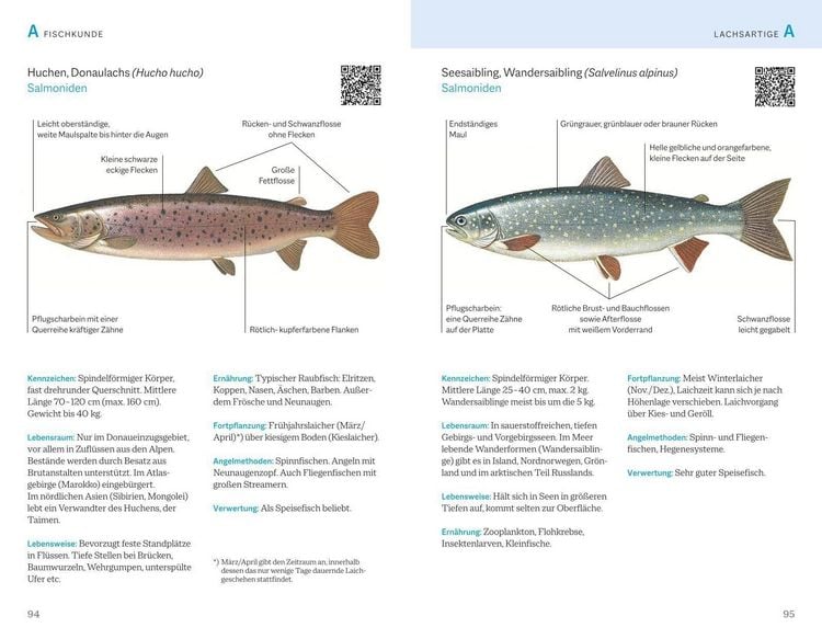 Produktbild: Fischerpr&uuml;fung