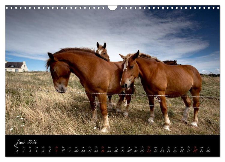 Produktbild: Frankreich Bretagne (Wandkalender 2026 DIN A3 quer), CALVENDO Monatskalender