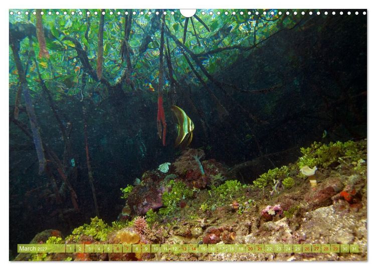Produktbild: Mangroves - Valuable Habitat (Wall Calendar 2027 DIN A3 landscape), CALVENDO 12 Month Wall Calendar