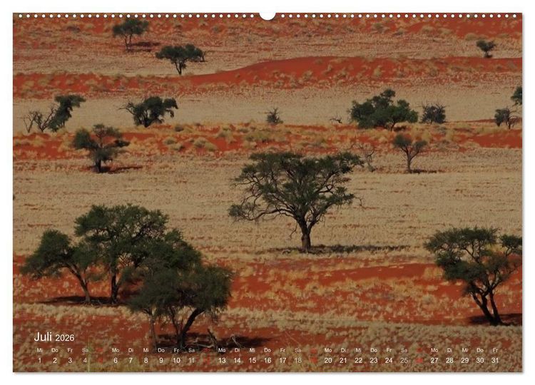 Produktbild: Afrikanische B&auml;ume (hochwertiger Premium Wandkalender 2026 DIN A2 quer), Kunstdruck in Hochglanz
