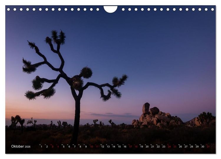Produktbild: Wild, Wide, West (Wandkalender 2026 DIN A4 quer), CALVENDO Monatskalender
