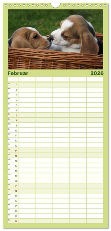 Produktbild: Familienplaner 2026 - DER BEAGLEige TERMINPLANER mit 5 Spalten (Wandkalender, 21 x 45 cm) CALVENDO
