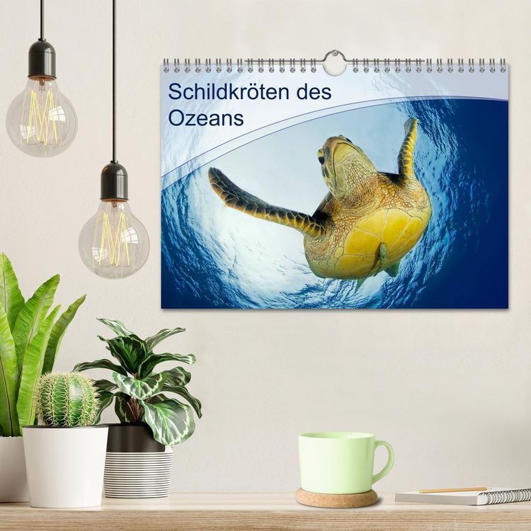 Produktbild: Schildkr&ouml;ten des Ozeans (Wandkalender 2026 DIN A4 quer), CALVENDO Monatskalender